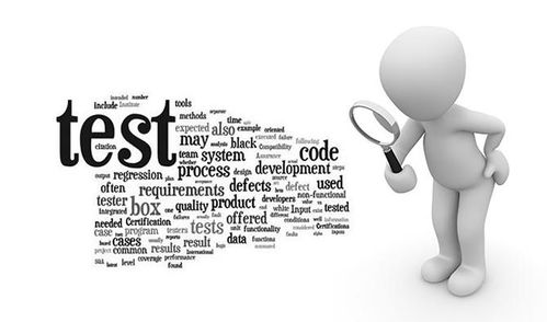 软件测试叫什么专业名字,什么叫做软件工程软件测试方向