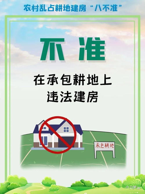 所有人,想占耕地建房 八不准 看清楚了