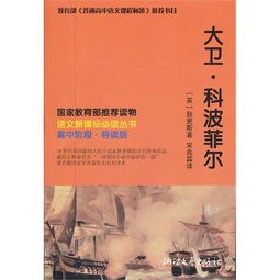 四字词语含义摘抄及解释_大卫科波菲尔四字词语？