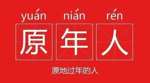 中国年 我的年 征文 于上海里弄忆建水年味