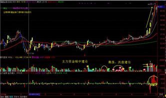 600428连续8天净流入了；高手分析下