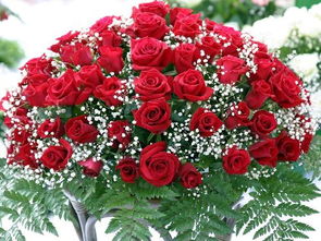 66朵玫瑰花花语，永恒的爱与约定