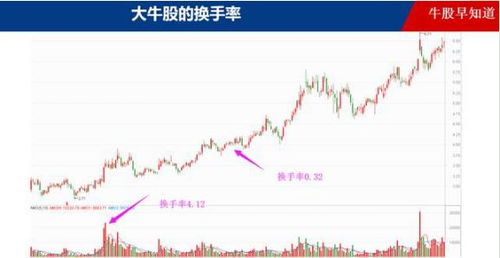 股市10月13日涨停个股概览