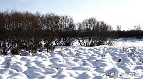 中国最冷的城市 这里最低可以到达零下58度 一年要供暖9个月