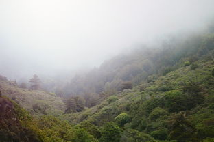 江山如画，大美祖国，描写祖国风景的作文