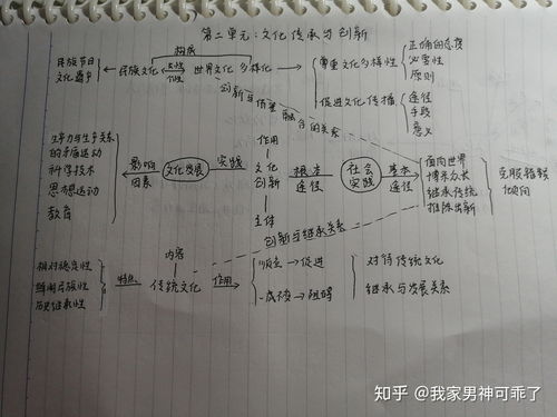 初中政治背诵技巧(初中政治咋背)