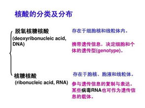 ftm激素后下面,介绍。