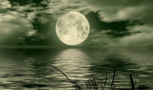 关于诗人借月亮表达思乡的诗句