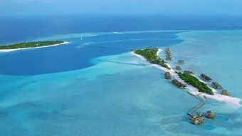 蜜月去马尔代夫怎么选最适合的岛屿（马尔代夫蜜月旅游攻略）
