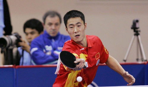 樊振东是国乒第12个拿到世乒赛男单冠军的人,看看前11位是谁