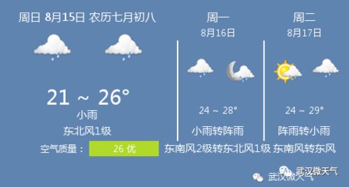 武汉市八月份天气预报,武汉八月的天气如何
