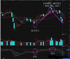 macd怎么设置准确