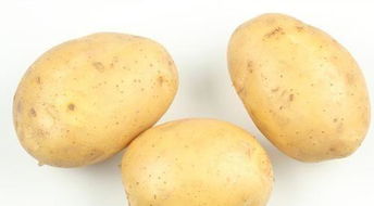 主粮 选秀 为何是土豆