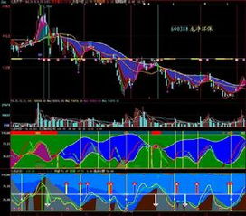 谁能帮我分析下龙净环保12月份的K线图