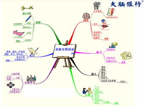 苏引华主讲的大脑银行 思维商学院 系列课程 