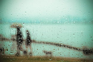 下雨关心问候短信，提醒学生下雨天气的短信