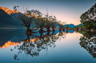 外网视频,探险南岛的壮丽风景 外网视频,探险南岛的壮丽风景 词条