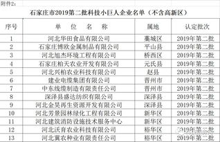 石家庄市第二批科技型中小企业 科技小巨人企业名单发布