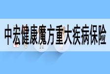 中弘集团与中宏保险中宏和北大方正哪个好 