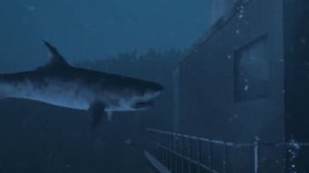 冰川鲨鱼剧情介绍,鲨鱼?鲨鱼的故事梗概。