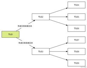 比特币节点的类型,节点和区块链有什么关系？