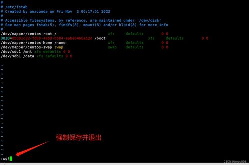 linux查看挂载,掌握系统文件系统管理的关键技能