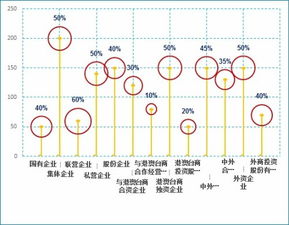 股份制公司的含义