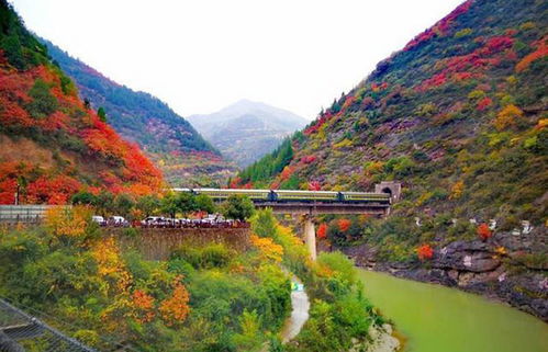 赏红叶 观秋色 览秋水,玩转宝鸡灵官峡,看这篇就ok 啦