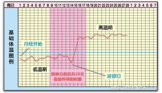 基础体温低 基础体温低的原因