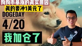 aidoge币能涨多少倍,doge是什么币种？ aidoge币能涨多少倍,doge是什么币种？ 生态