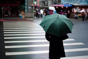 一把雨伞的造句-一把雨伞造句子？