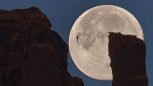 月球漫步 电影,月球漫步:人类首次踏上月球背后的传奇故事