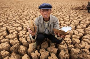 退菌特——农作物保护的新武器