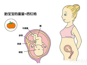 原创怀孕后五官也悄悄变了，都是因为胎儿