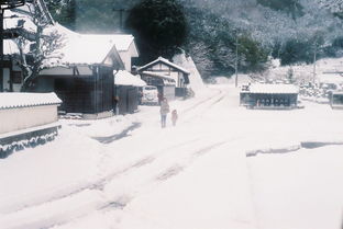 寒潮挺进 今年最美的雪景你见着了吗 