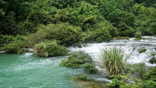 贵州旅游十大景点排名探秘神秘高原，体