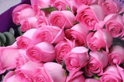 苏醒玫瑰花语,各种颜色的玫瑰花的花语....紧急