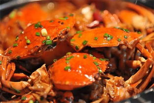萌煲煲肉蟹煲让螃蟹的味道更加精彩 
