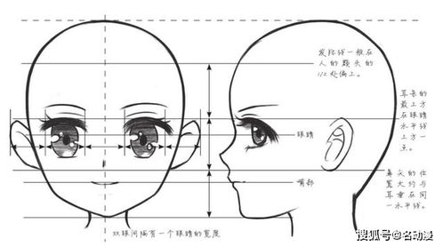 一个人的什么还可以被当做小尺子来测量脸的宽度及五官的大致比例？