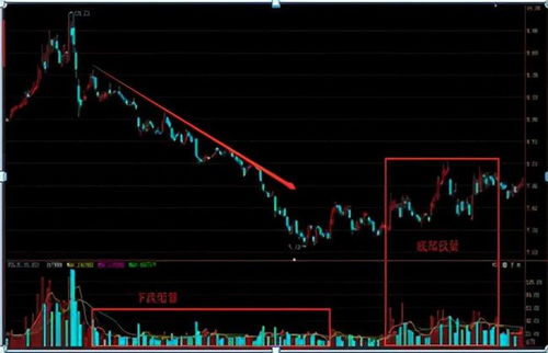 中国股票下跌的内部和外部（国际）原因是什么