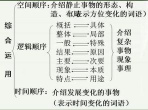 公司的分为哪几种?