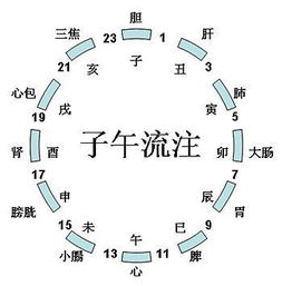 卯时和子时是几点到几点 