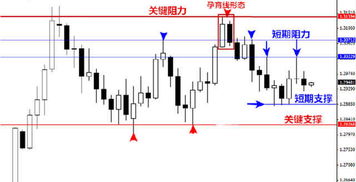 阻力线和支撑线要以什么周期的K线来画？日K线还是30分钟K线？