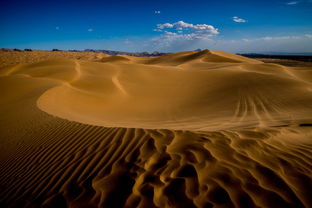 在内蒙古沙漠深处藏着一座有着 塞上迪拜 美誉的城市