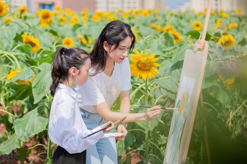 打造特色三点半课程 两江新区星湖学校在楼顶种植向日葵花海 