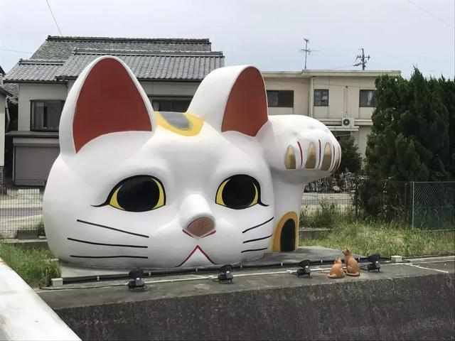 猫币cat,什么是猫币? 猫币cat,什么是猫币? 应用