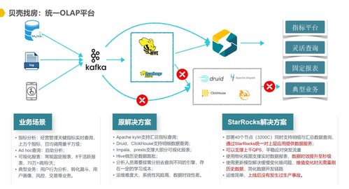 star币未来与前景分析,数字货币未来发展趋势