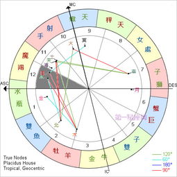 宫位解析 详解第十二宫在占星学中的意义 
