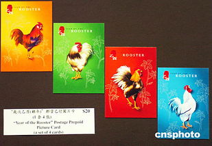 香港邮政发行鸡年特别邮票 市民购买踊跃 