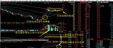 主力买入多的股票后面会涨还是跌